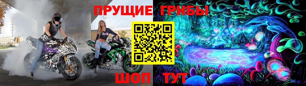 Трёхгорный  даркнет сайт  Вход с VPN  Псилоцибиновые грибы MAGIC MUSHROOMS  Псилоцибиновые грибы Psilocybine cubensis 
