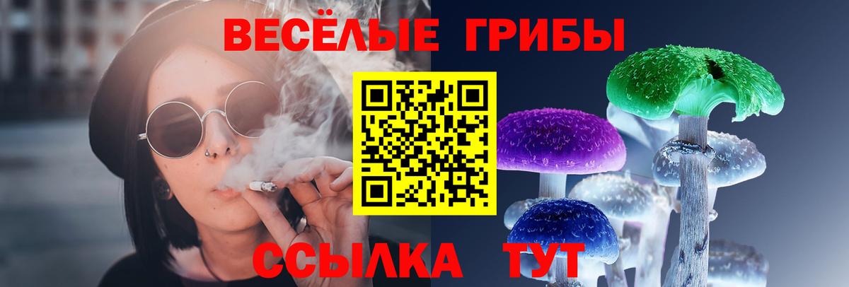Псилоцибиновые грибы GOLDEN TEACHER Трёхгорный